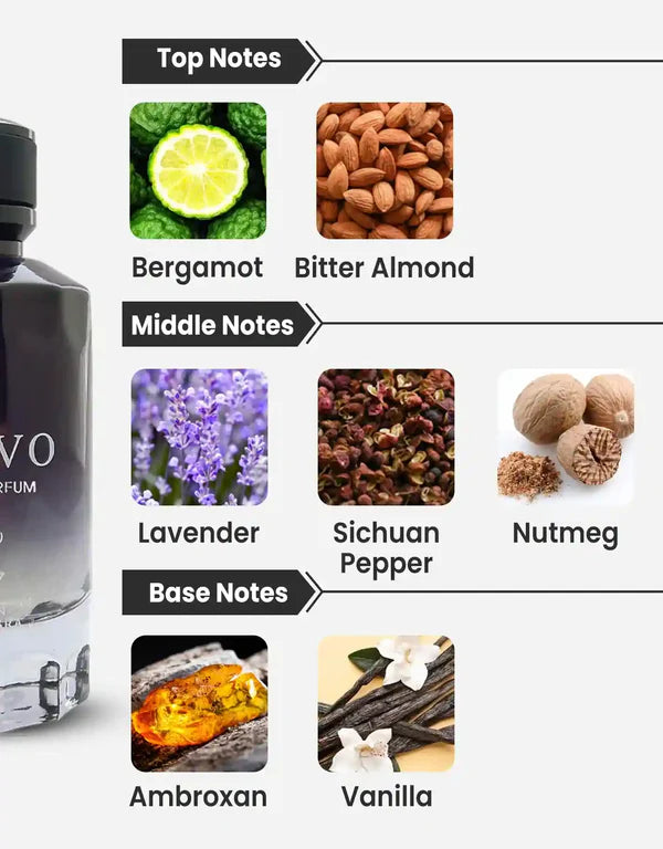 Salvo By Maison Alhambra Men Eau De Parfum 100ml
