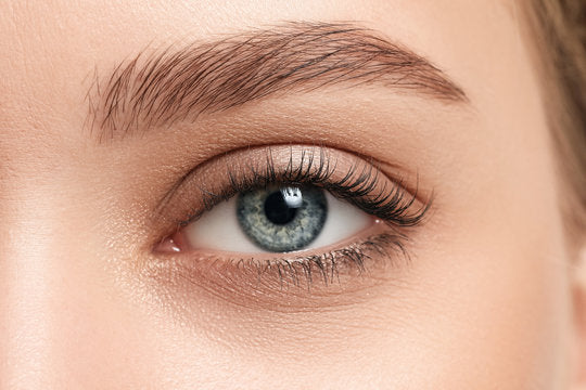 Eyes on you - Eyes & Brows